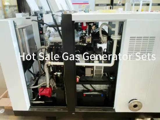 Hydrogen Gas Turbine Natural Gas Nitrogen Biogas Power Plant Electric Micro Turbine Petrol LPG Coal Gasifier Hho Gas 300kw Powered by Camc Engine Gas Generator